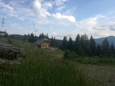 Bild 139 aus  Almchalet Nikola