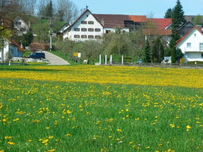 Bild 4 aus  Landhof Orf