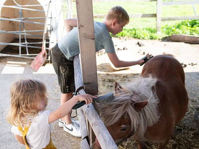 Bild 117 aus  Paulerhof