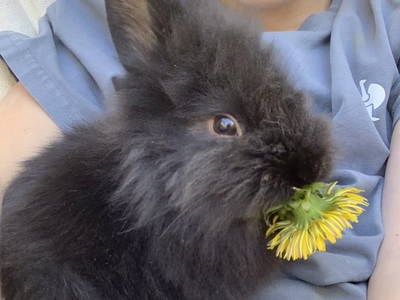 Bild 140 aus  Biberhof