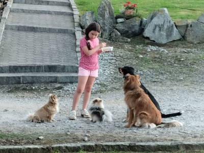 Bild 105 aus  Reiterhof Pfleger