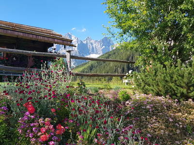 Bild 7 aus  Ferienhaus Mandlberggut