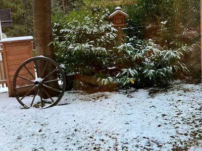 Bild 34 aus  Pension Klug