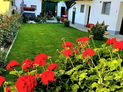 Bild 17 aus  Ferienhaus Weinviertel