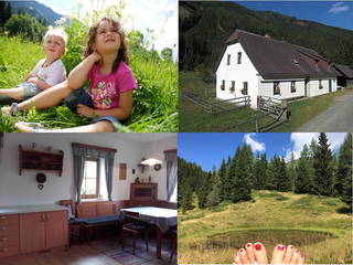 Grassleralm aus Gaal