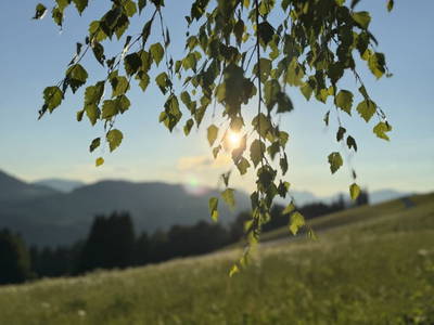 Bild 176 aus  Erbhof Hinting + Appartementhaus Hinting