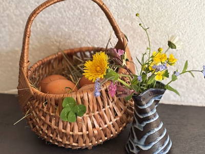 Bild 93 aus  Schuistlhof