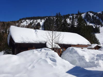 Bild 47 aus  Jagahütte