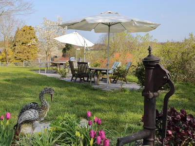 Bild 75 aus  Hof Schlossblick  " der etwas andere Bauernhof "