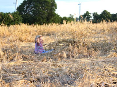 Bild 19 aus  Premium - Ferienhof Lunau