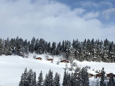 Bild 26 aus  Eckwaldhütten Leitengut