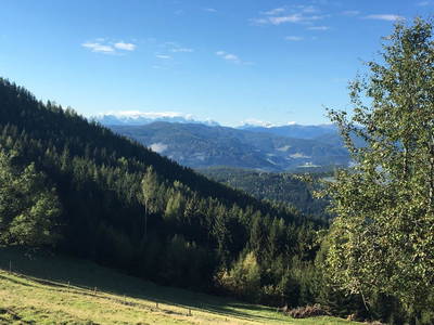 Bild 60 aus Pettacher Hütte