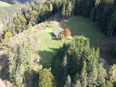 Bild 47 aus  Almhütte Meierle