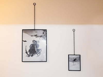 Bild 119 aus  Taxengut