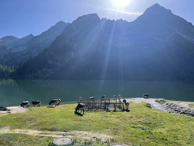 Bild 37 aus Griesbauer - Familie Gehwolf