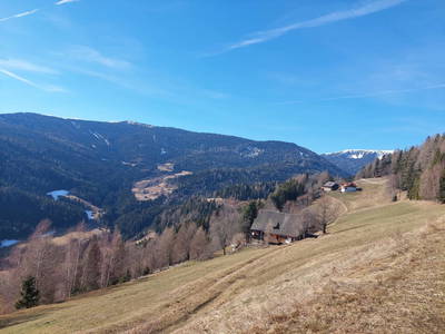 Bild 31 aus  Almhaus Maurer