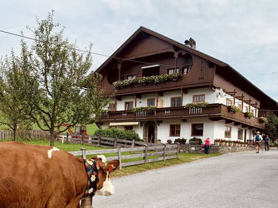 Bild 2 aus  Wimmerhof