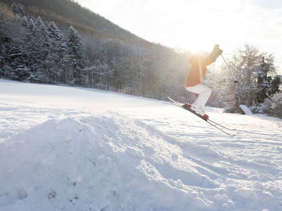 Bild 89 aus  Hofstatt Salzburg Ferienhaus 