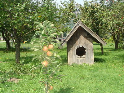 Bild 73 aus  Bauernhof  Wernhof