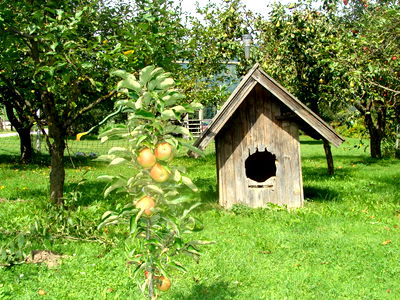 Bild 70 aus Bauernhof Wernhof
