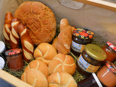 Bild 80 aus  Pferdehof Oberegg