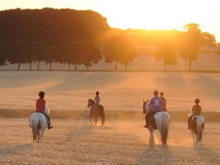 Bild 2 aus  Feriendorf Weinberghof