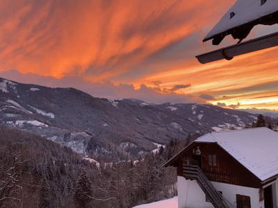 Bild 103 aus  Bio-Bergbauernhof Möslhof