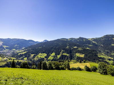 Bild 86 aus  Durchholzalm | Das Chalet am Floitensberg