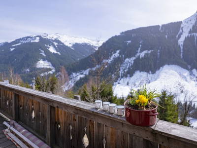 Bild 26 aus  Lengaualm