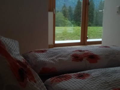 Bild 44 aus  Freihof  Fam. Tillian