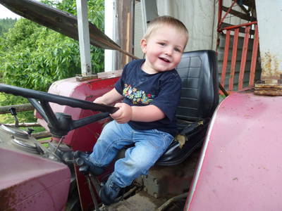 Bild 32 aus  Steirer