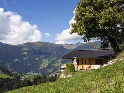 Bild 4 aus  Friedlach-Hütte