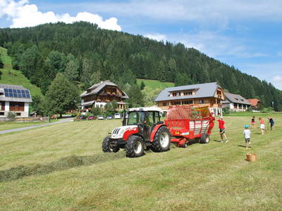 Bild 40 aus  Biohof Seidl