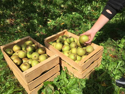 Bild 22 aus  Almhütte Kohlenau