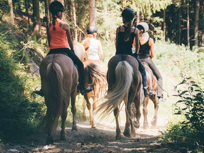 Bild 18 aus  Isländerhof Köck vlg. Kristanhof