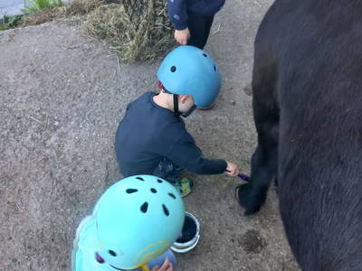 Bild 130 aus  Ferienbauernhof Stallhäusl