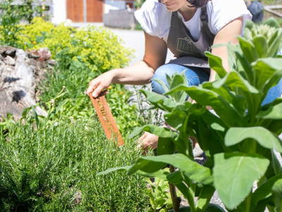 Bild 19 aus  Oberhaslachhof