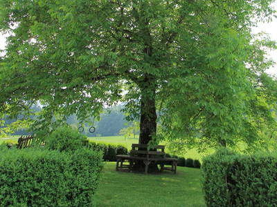 Bild 17 aus  Bammer im Herndlberg