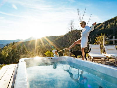 Bild 25 aus  Obiralmhütte Meierhof