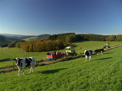 Bild 20 aus  Ferienhof Heuel