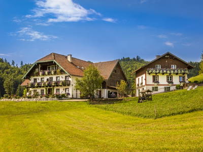 Bild 11 aus  Bambichl Hoamat