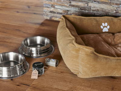 Bild 83 aus  Refugien Am WILDBACHBERG