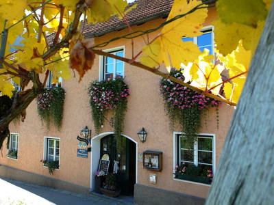 Bild 23 aus  Weingut STRAWANZER Donabaum