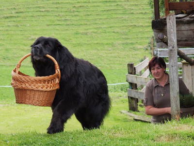 Bild 111 aus  Pesbichl