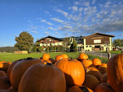 Bild 24 aus  Santnergut