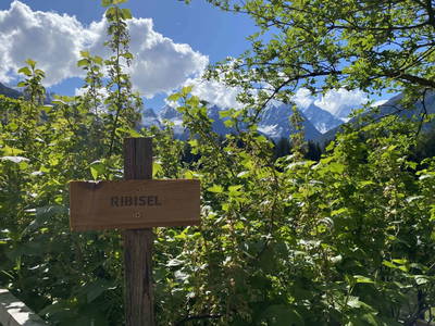 Bild 25 aus Alpenfarm Poschhof