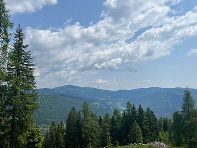Bild 304 aus Neuwirth Hütte