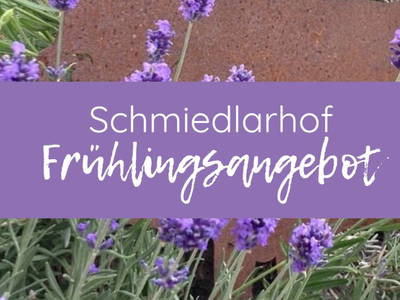 Bild 57 aus  Schmiedlarhof