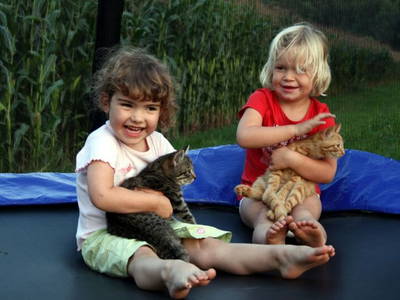 Bild 61 aus  Familienbauernhof Strassbauer