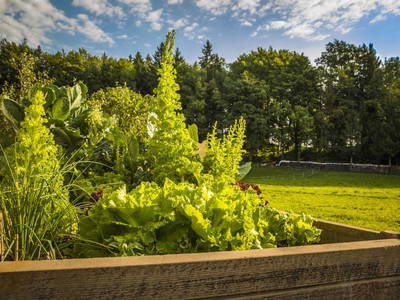 Bild 11 aus  Bio Bauernhof Paulbauer